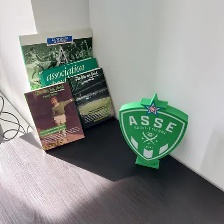 Cosy -allez Les Verts- Saint-Etienne (Loire)